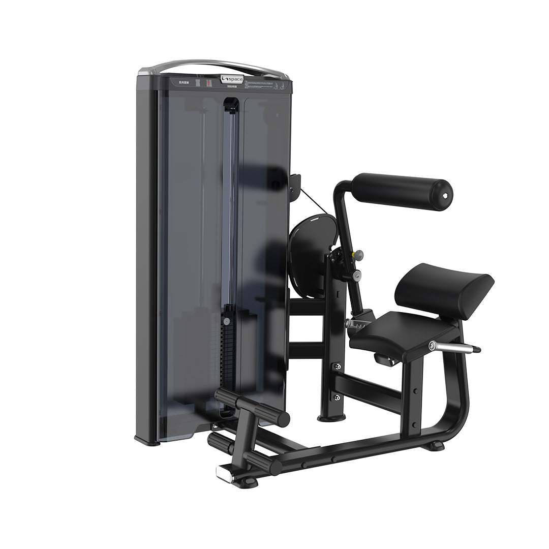 Alpha Line Selectorised Lower Back – Inspace Fitness